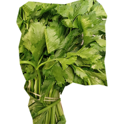 Celeri (125gr)