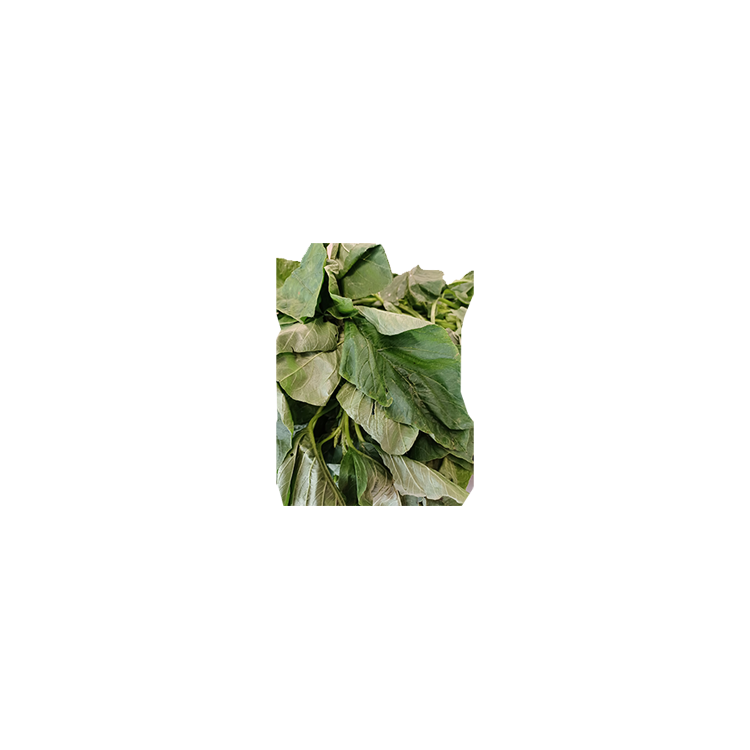 Epinard branche (500gr)