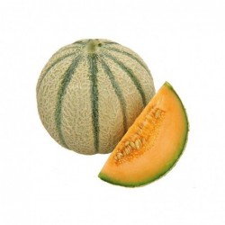 Melon (l'unité)